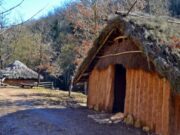 L’Ajuntament de Moià aprova un projecte per millorar el patrimoni natural del Parc Prehistòric de les Coves del Toll