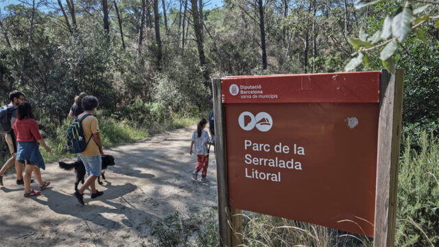 noticia_1782220677.jpg