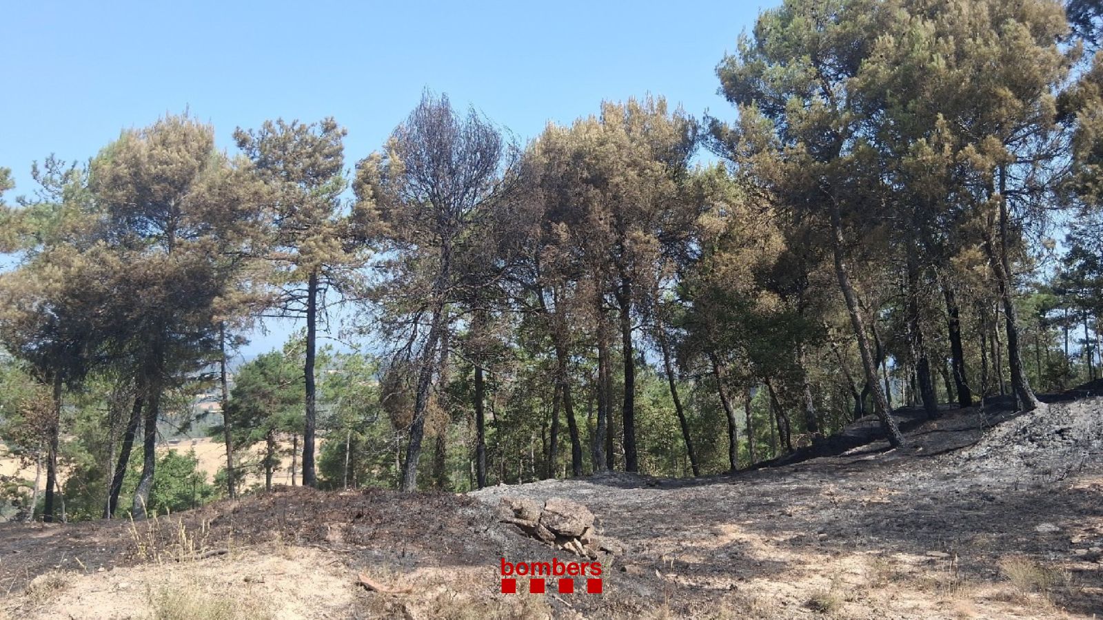 Incendi de vegetació als marges de la B-433, entre Oristà i Avinyó