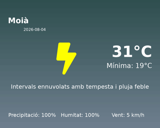 moia_2026-08-04.png