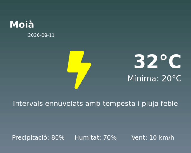 moia_2026-08-11.png