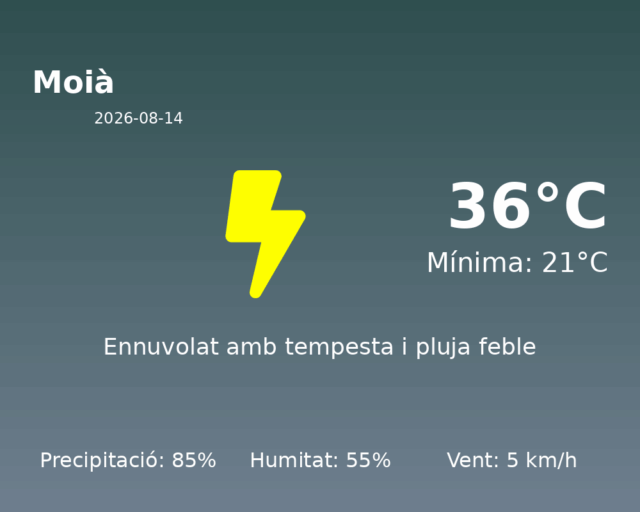 moia_2026-08-14.png
