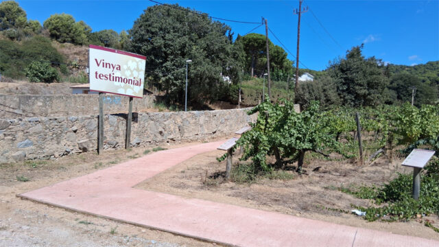 noticia_1789565309.jpg