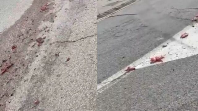 Residus carnis a Moià