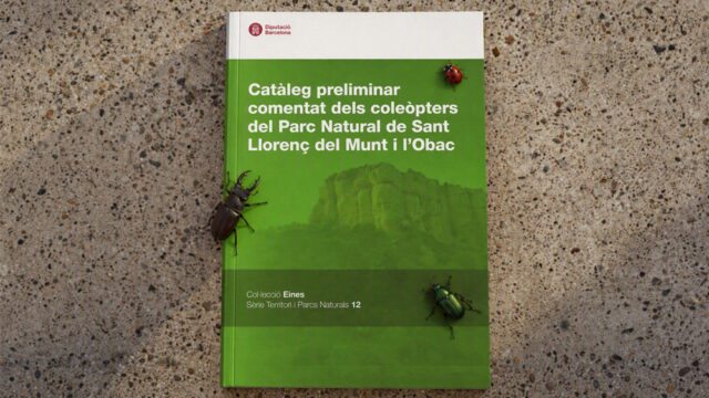 noticia_1793110669.jpg